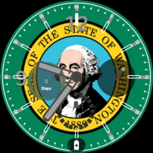 Washington Flag Watchface Screenshot 1