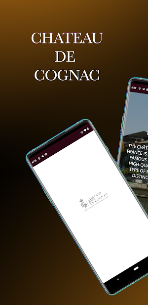 Chateau de Cognac Screenshot 0