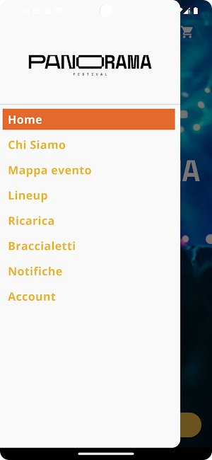 PANORAMA FESTIVAL Screenshot 1