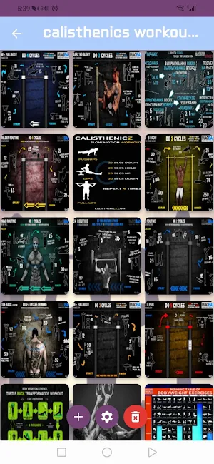 calisthenics workout program Screenshot 2