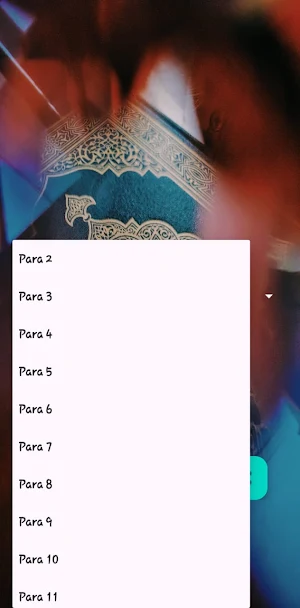 Qur'an Majeed Urdu Hindi Screenshot 2