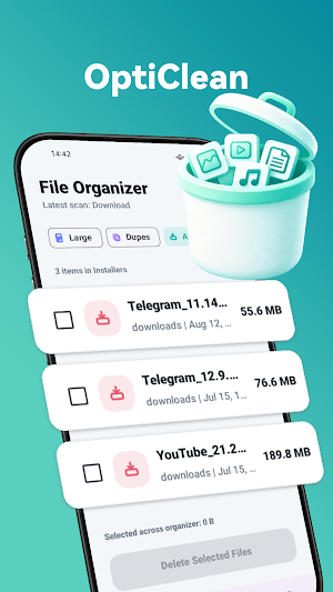 OptiClean Screenshot 2