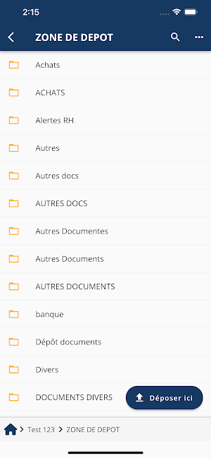Crowe Ficorec Screenshot 0