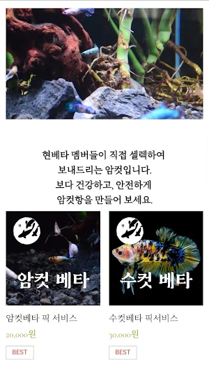 현베타 - 그 이상의 가치 Screenshot 2