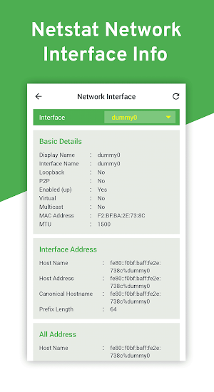 Netstat Network Interface Info Screenshot 0