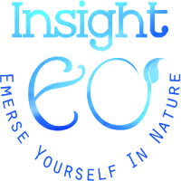 Insight EO