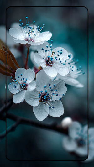 Cherry Bloosom Wallpaper 4K Screenshot 2