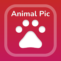 Animal Pic: AI Identifier