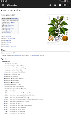 WikiSpecies Screenshot 0