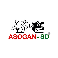 Asogan SD
