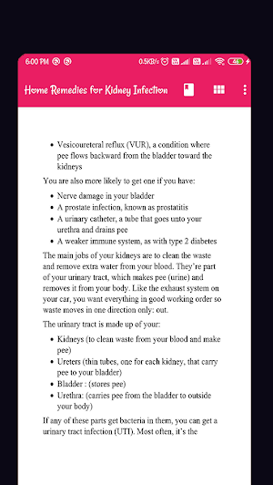 Remedies for Kidney Infection Screenshot 2