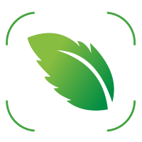 Leaf Lens