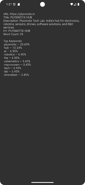 SEO Analyzer Screenshot 0