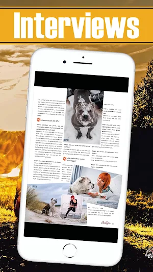 Bully’s Magazin Screenshot 3