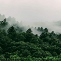 Nature Live Wallpaper Parallax