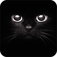Black Wallpaper