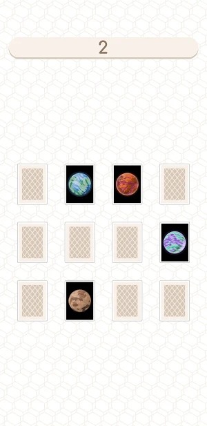 Pair Pursuit Screenshot 2