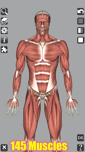 3D Anatomy Screenshot 1