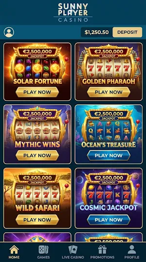 Sunnyplayer Screenshot 3