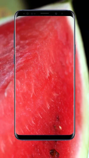 Watermelon Wallpaper Screenshot 3