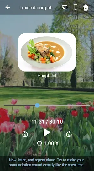 Learn Luxembourgish. Speak Luxembourgish. Screenshot 3