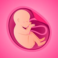 Pregnancy Tracker & Due Date