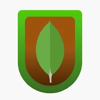 MongoDB Ally