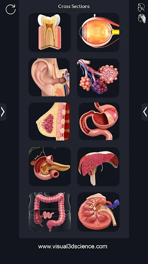Organs Anatomy Pro. Screenshot 1