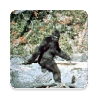 Bigfoot Sound Collections ~ Sc