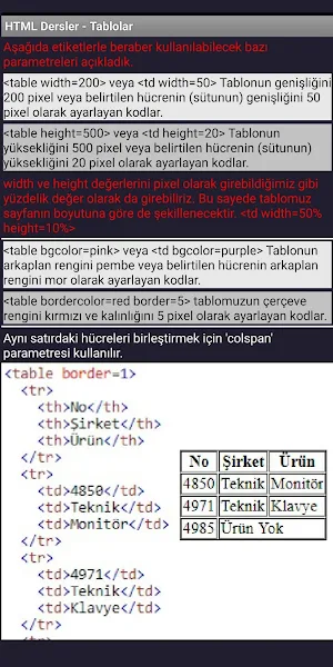 HTML ve CSS Dersleri Screenshot 2