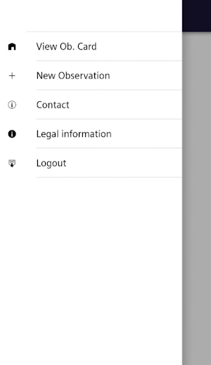 Safety Observation Screenshot 2