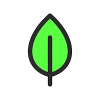 Bayleaf ORG