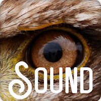 Eagle Soundboard Ringtones