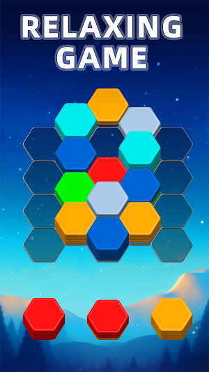 Hexa Master 3D Screenshot 2