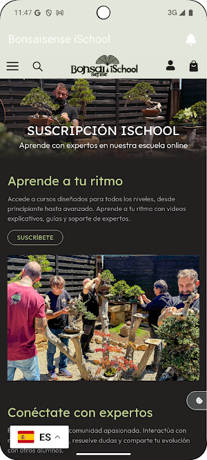 Bonsaisense iSchool Screenshot 2