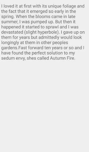 Sedum Autumn Fire Screenshot 3