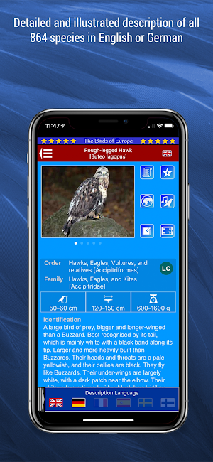 Birds of Europe Screenshot 2