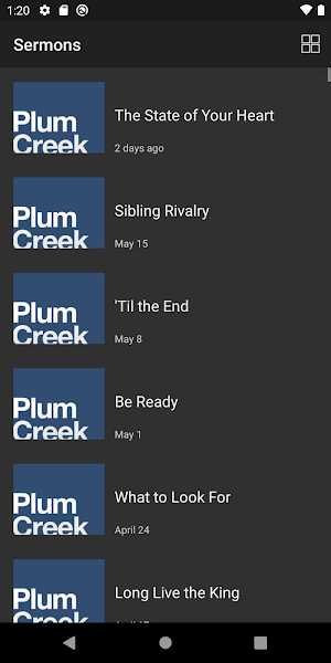 Plum Creek Screenshot 2