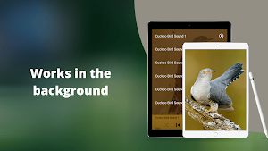 Cuckoo Bird Sounds Screenshot 2