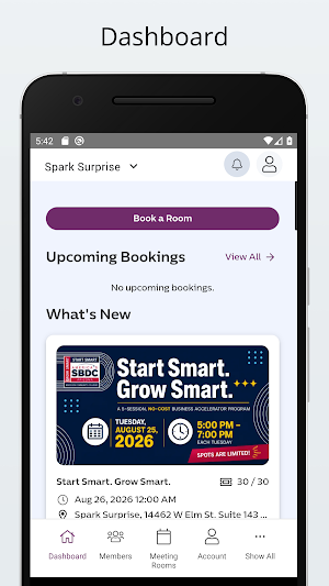 Spark Surprise Screenshot 0