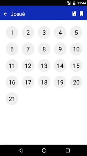 Bible Audio Français Screenshot 3