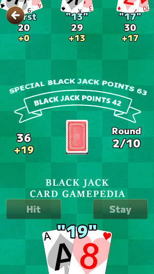 Black Jack : Card Gamepedia Screenshot 0