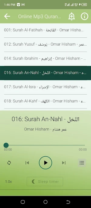 Omar Hisham Offline Mp3 Quran Screenshot 3