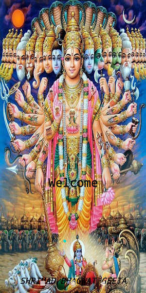 Shrimad Bhagwat Geeta MP3 (श्रीमद् भागवत गीता) Screenshot 0