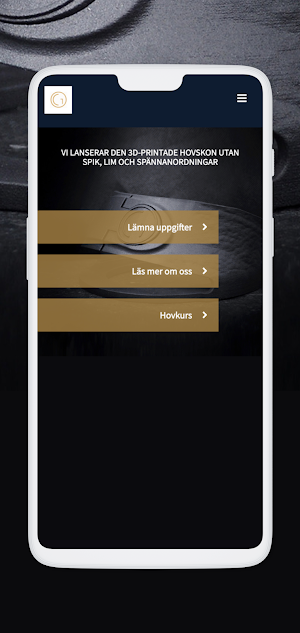 Guldhov Screenshot 1