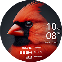 CELEST5490 Artistic Watch