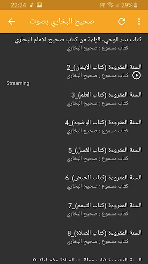 كتاب صحيح البخاري صوت بجودة عا Screenshot 1