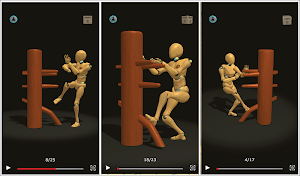 Wing Chun Trainer Screenshot 0
