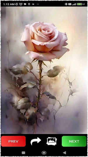 Vintage Floral Wallpapers Screenshot 3