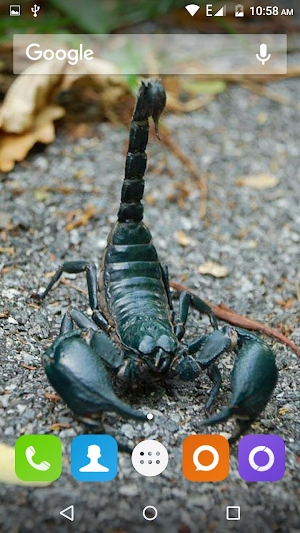 Scorpion HD Wallpaper Screenshot 0